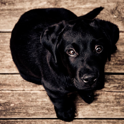 ddos服务器攻击手段