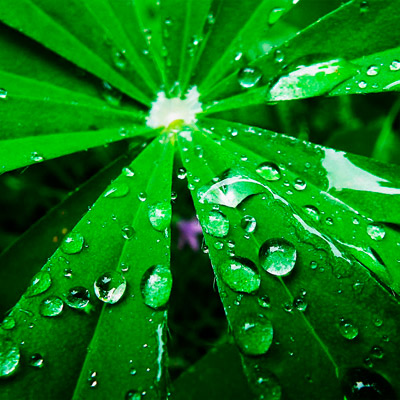 【应用宝】官方的在线ddos网页端