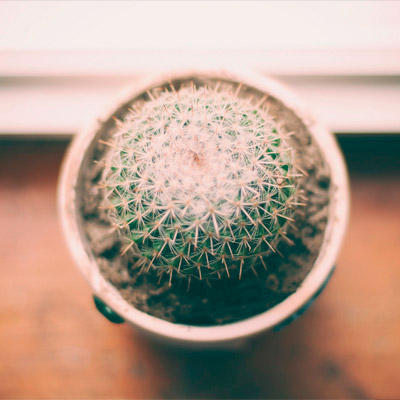 团购优惠的DDOS在线攻击平台