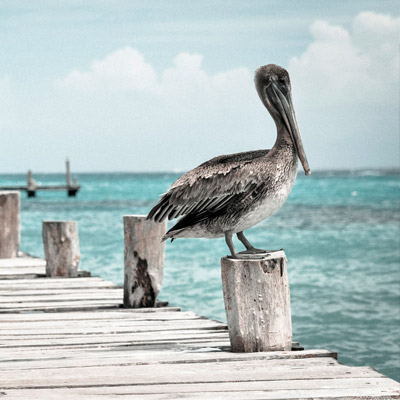 快速导航清晰的网页在线DDOS压力测试